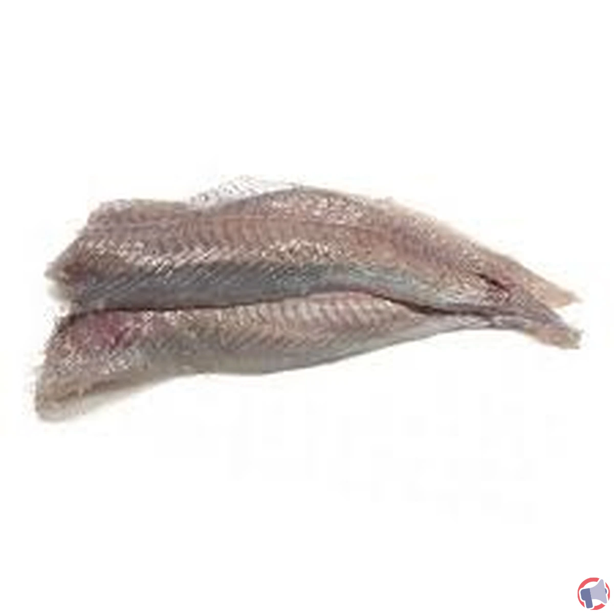 Rappel de produit : filet de lieu noir frais vendu chez E. Leclerc
