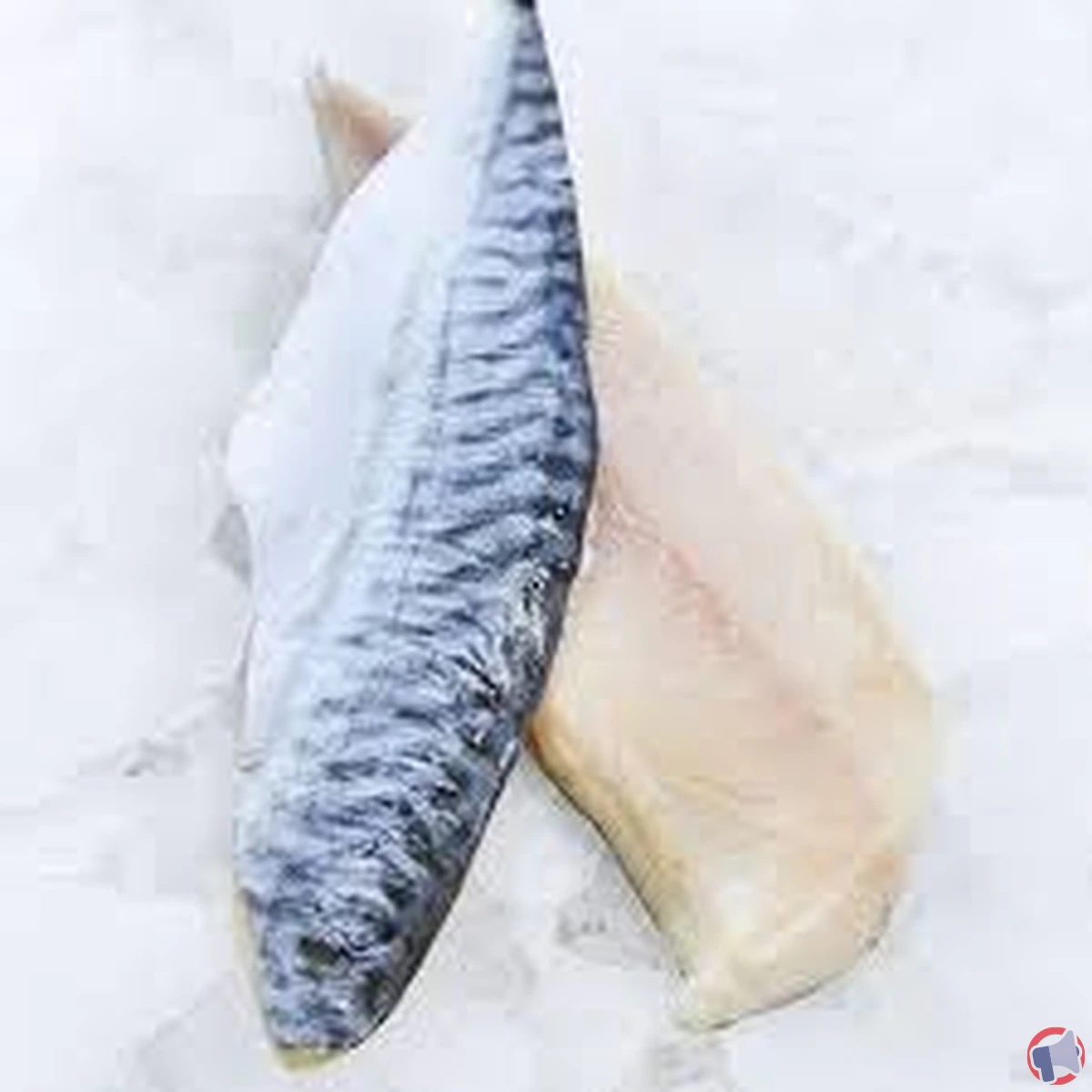 Rappel de produit : filets de maquereau en raison d'un risque d'histamine