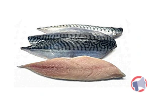 Rappel produit Filet de maquereau