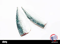 Rappel produit filet de maquereau