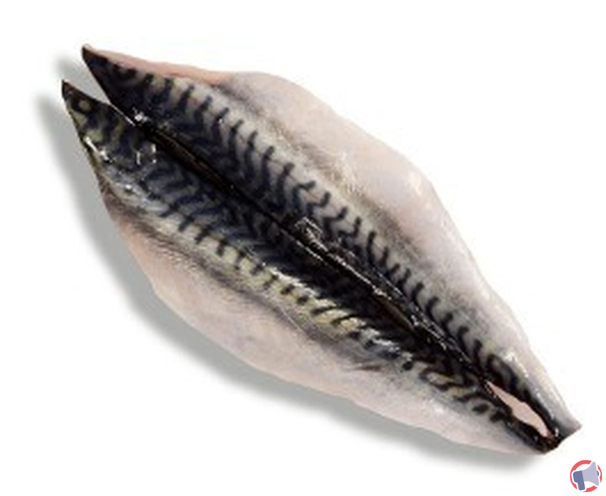 Rappel de produit : filet de maquereau AP contaminé à l'histamine