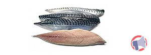 Rappel produit filet de maquereaux