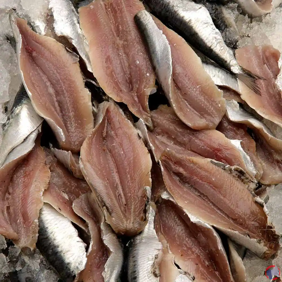 Rappel de produit : Filet de sardine vendu chez Super U Vouillé en raison de la présence d'Histamine