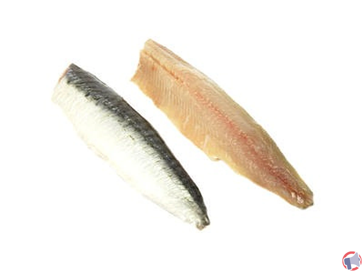 Rappel de produit : filet de sardine vendu chez Leclerc Beynost