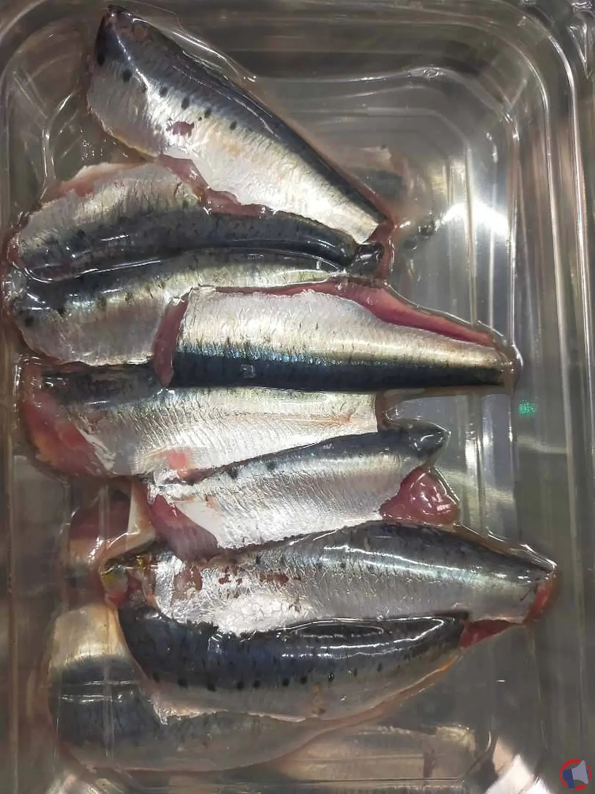 Rappel du produit : filet de sardine n°19743