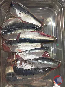 Rappel produit Filet de sardine
