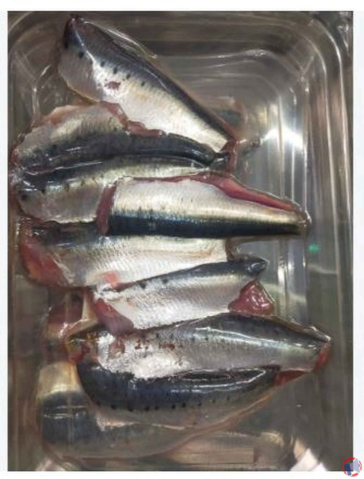 Rappel produit : filet de sardine — fiche officielle et mesures à suivre