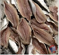 Rappel produit FILET DE SARDINE 40/60