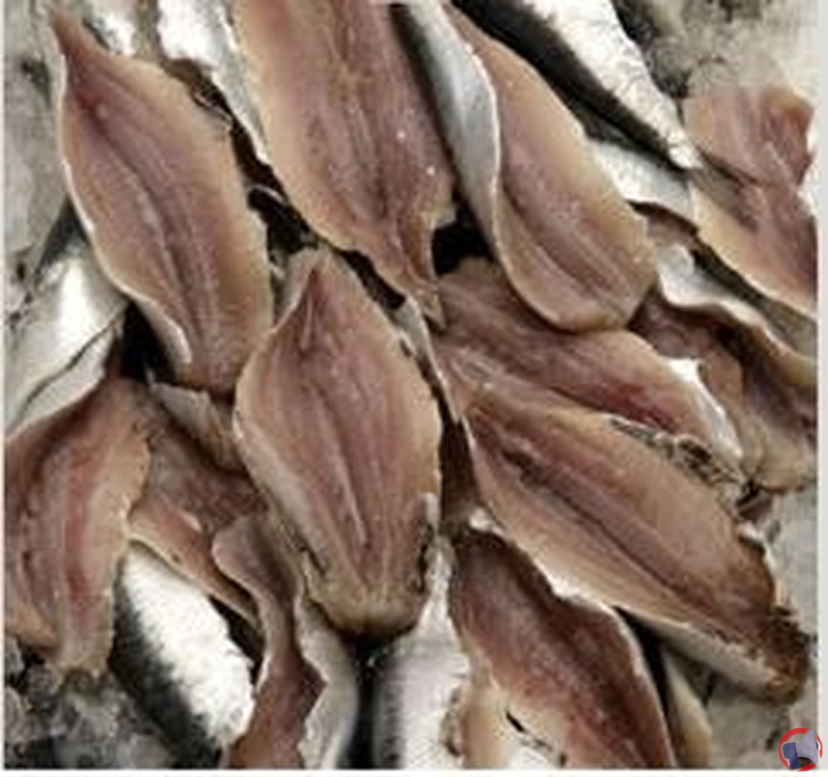 Rappel de produit : Filet de Sardine 40/60 vendu chez Super U Mutzig