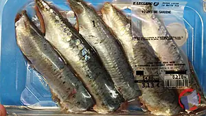 Rappel produit FILET DE SARDINE SOUS SKIN