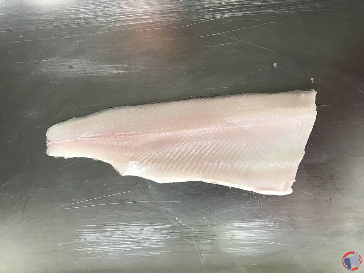 Rappel de produit : filet truite – analyse et précautions pour les consommateurs