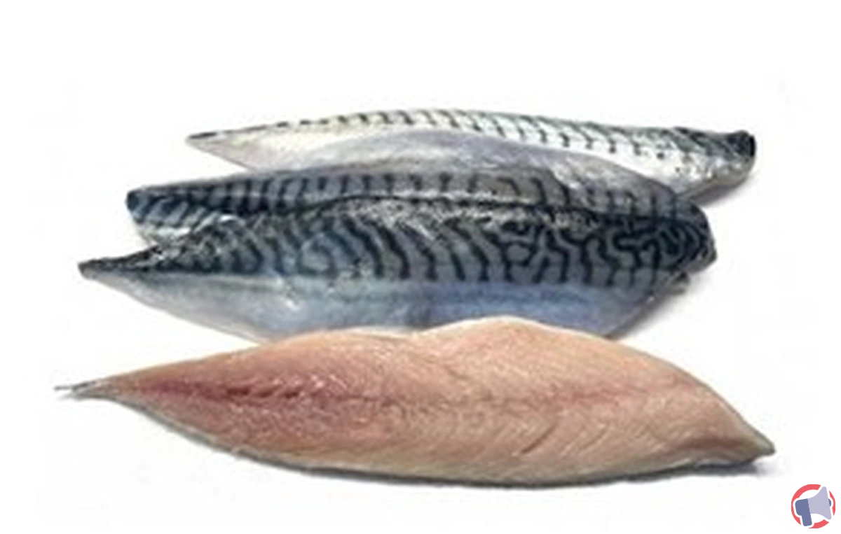 Rappel : filets de maquereaux concernés par une alerte de sécurité alimentaire, que faire ?