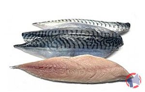 Rappel produit Filets de maquereaux