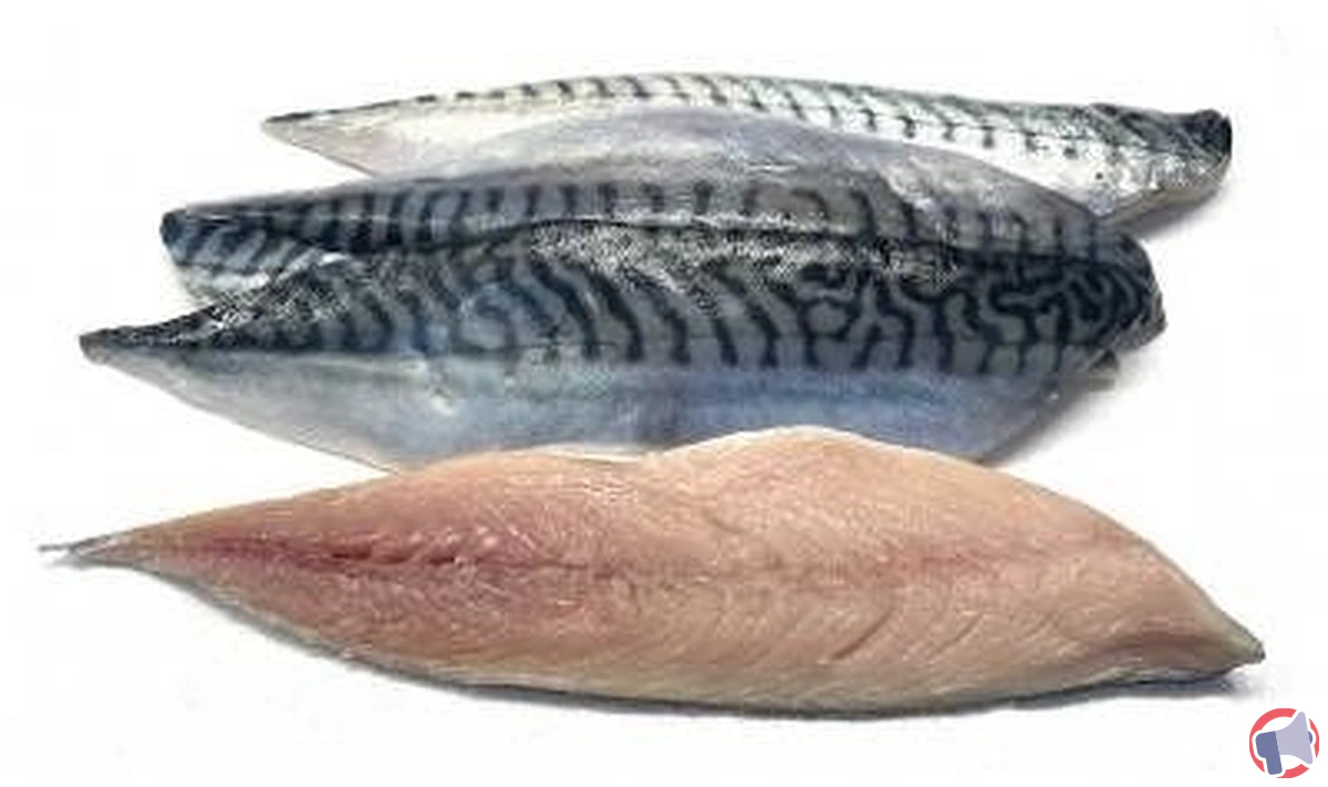 Rappel de filets de maquereaux : pourquoi vous devez vérifier votre achat et comment réagir
