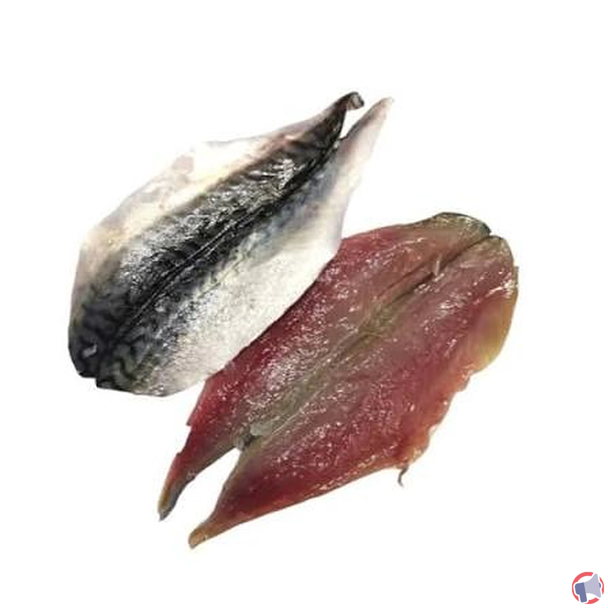 Rappel de filets de sardine : ne les consommez pas, vérifiez votre produit et les bons gestes