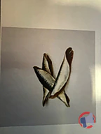 Rappel produit filets de sardines BUTTERFLY (photo numéro 1)