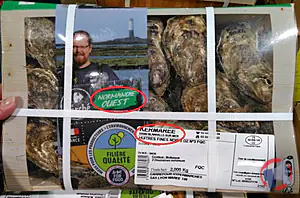 Rappel produit Huîtres de Normandie Ouest Filière Qualité Carrefour