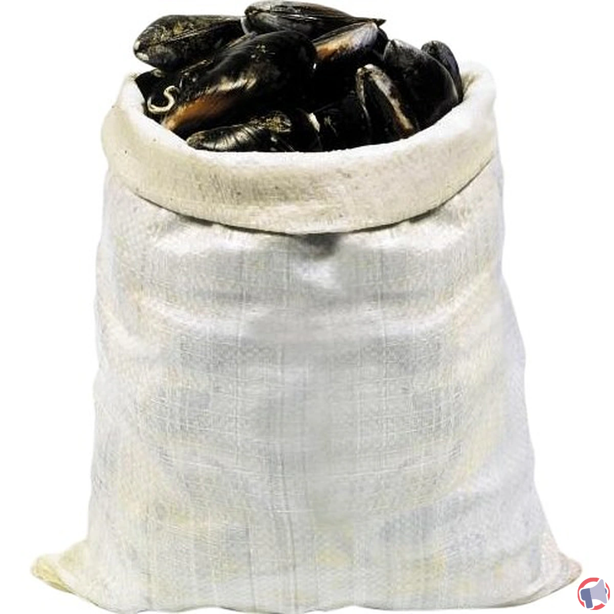 Rappel produit Carrefour : Moules bouchot STG vendues — Fil d'Information Qualité