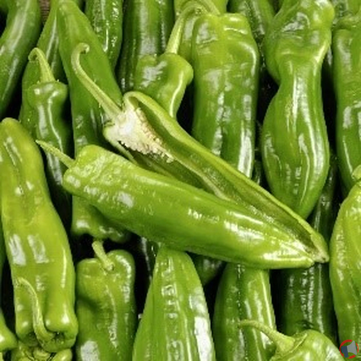 Rappel de poivrons corne de bœuf de la marque FINN pour excès de résidus phytosanitaires
