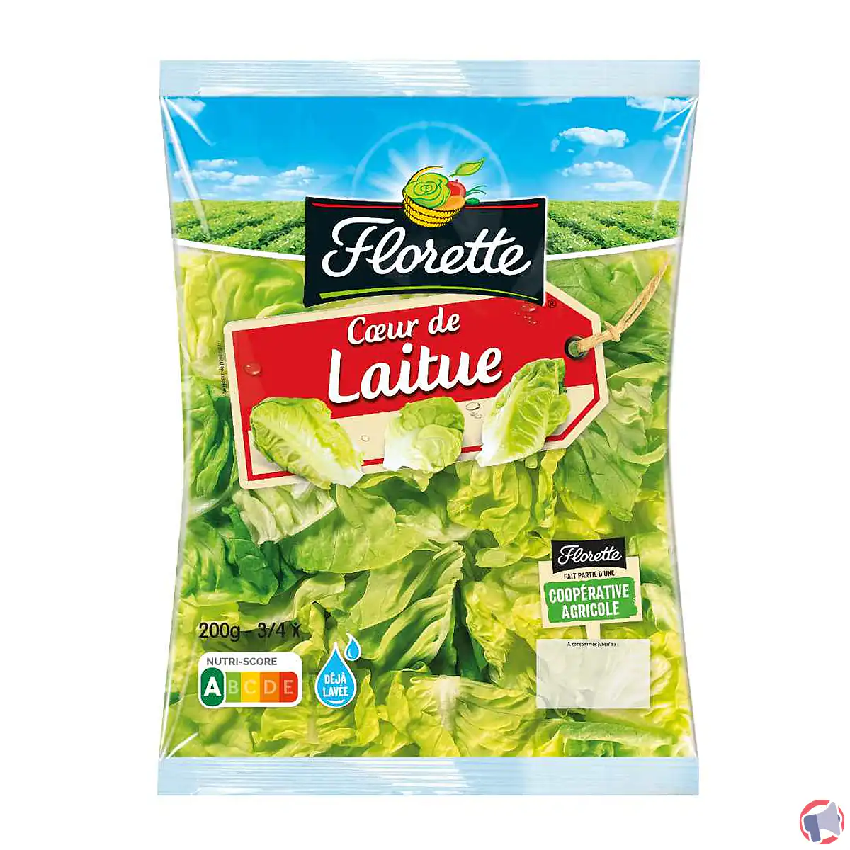Rappel de produit : cœur de laitue Florette contaminé par la Listeria