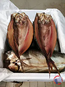 Rappel produit kippers 3 Kg caisse polystyrène Fournier fils