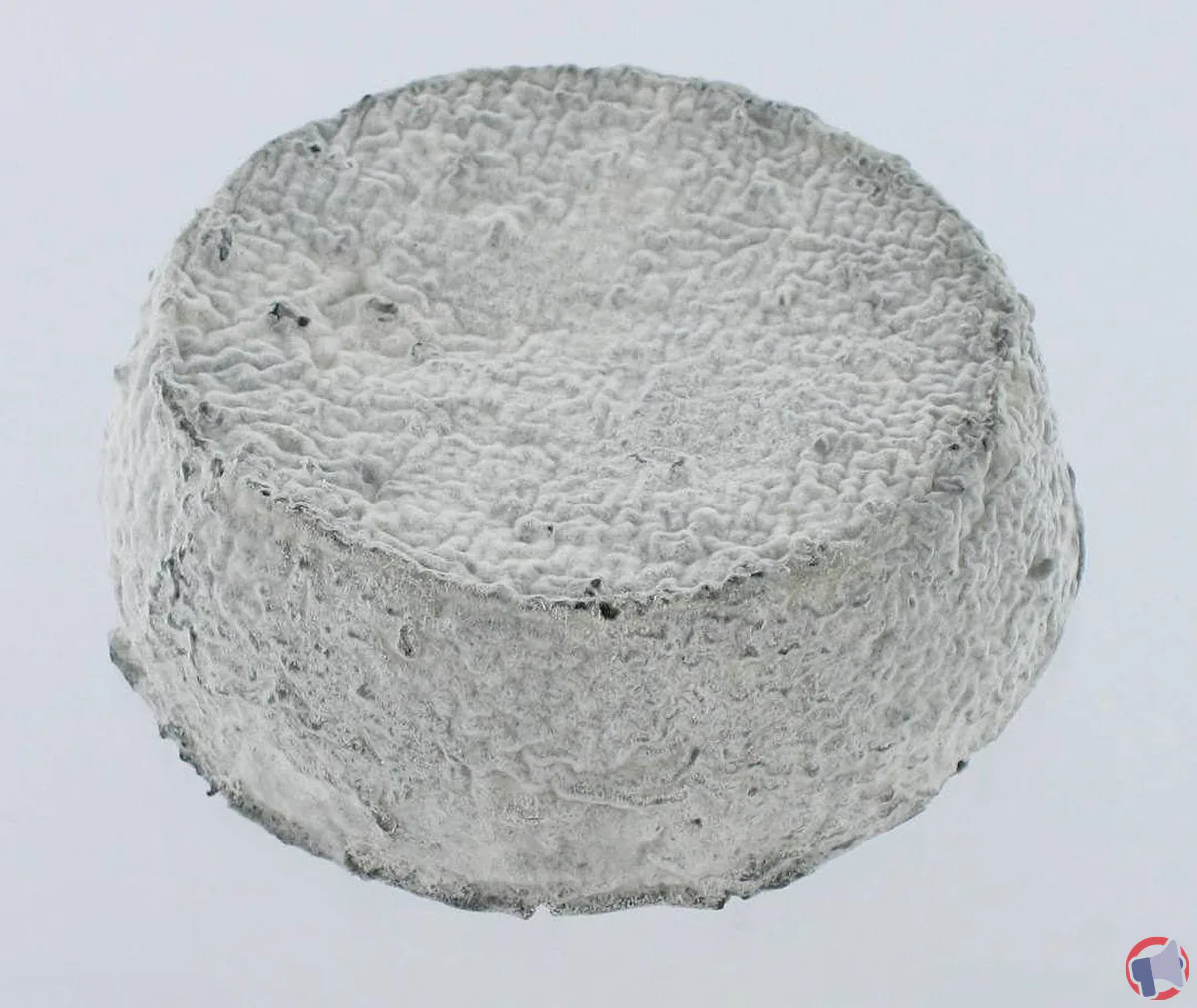 Rappel de produit : Selles-sur-cher AOP de la marque FPJ pour risque de contamination en Listeria
