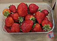 Rappel produit fraise Alsace HVE3 barquette 500g nue (photo numéro 1)