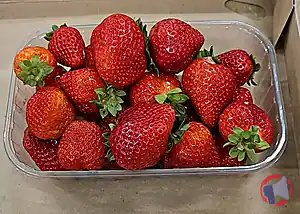Rappel produit fraise Alsace HVE3 barquette 500g nue