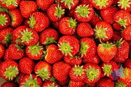 Rappel produit Fraise Fraise (photo numéro 1)