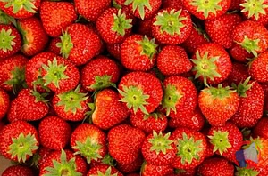 Rappel produit Fraise Fraise