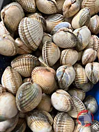 Rappel produit COQUES FRANCE COQUILLAGES (photo numéro 1)