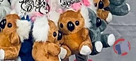 Rappel produit Porte-clés peluche Sweet-Koala FREESTYLE (photo numéro 1)