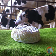Rappel produit fromage demi sec fromage demi sec (photo numéro 1)