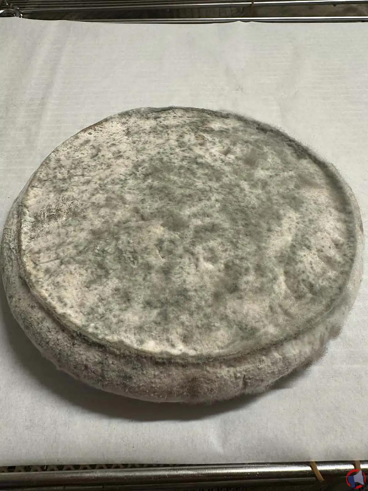 Rappel pour le fromage fermier contaminé par la listeria monocytogenes