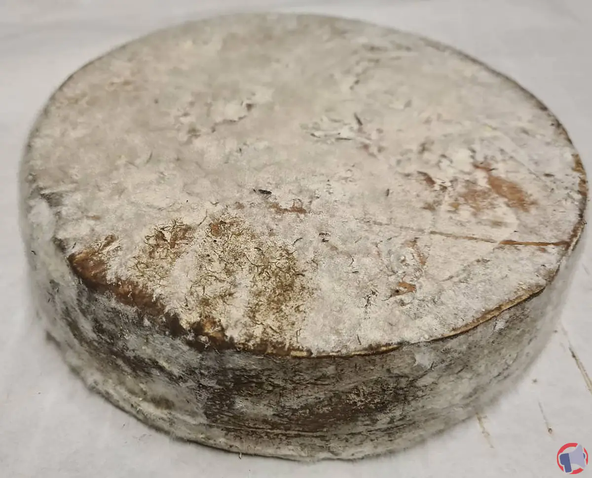 Rappel de produit : Fromage fermier potentiellement contaminé par la salmonelle