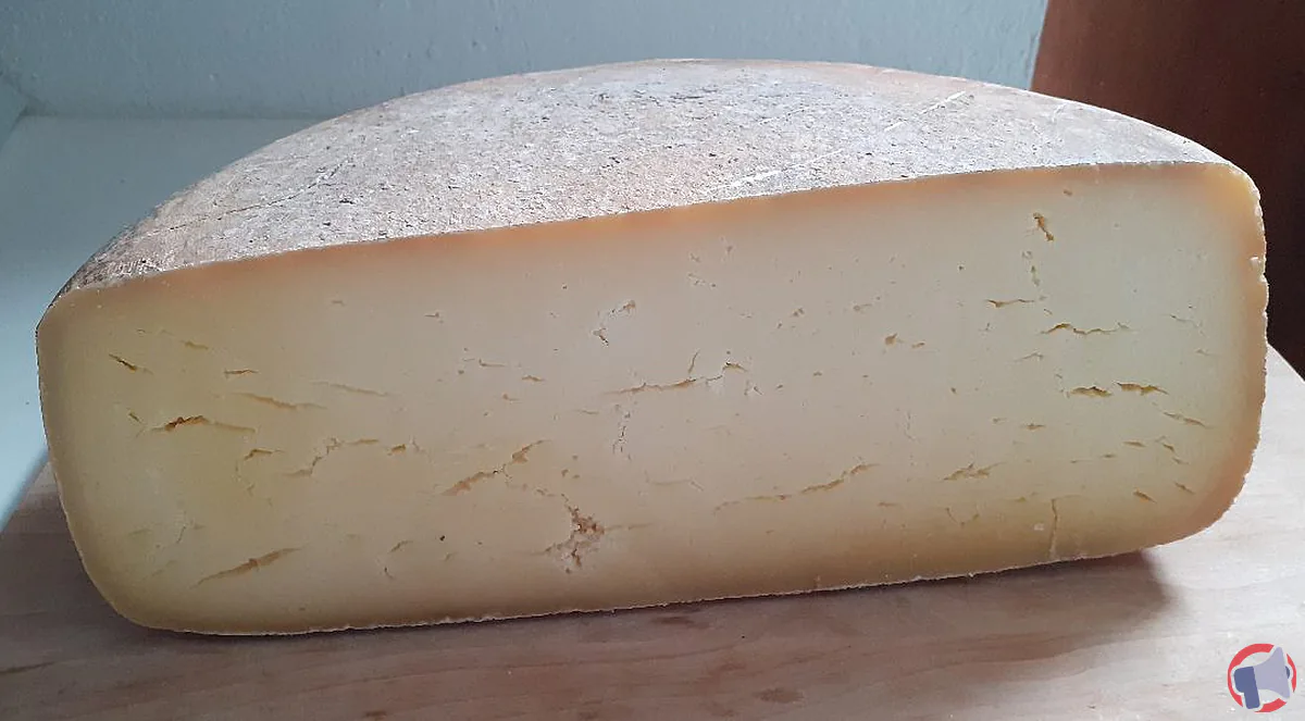 Rappel fromage pâte pressée cuite : risques, vérifications et conduite à tenir