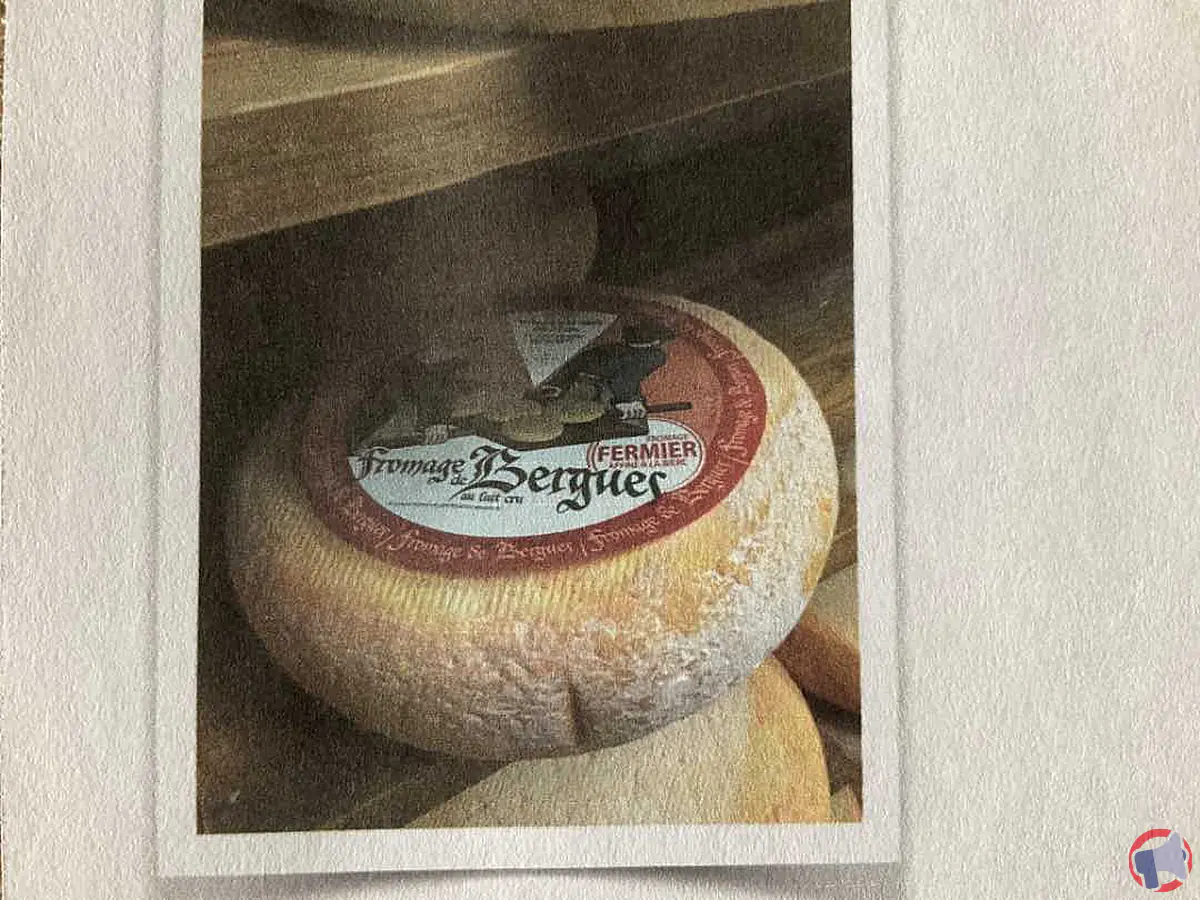 Rappel de fromage Bergues de la Fromagerie des 2Caps pour risque de listériose