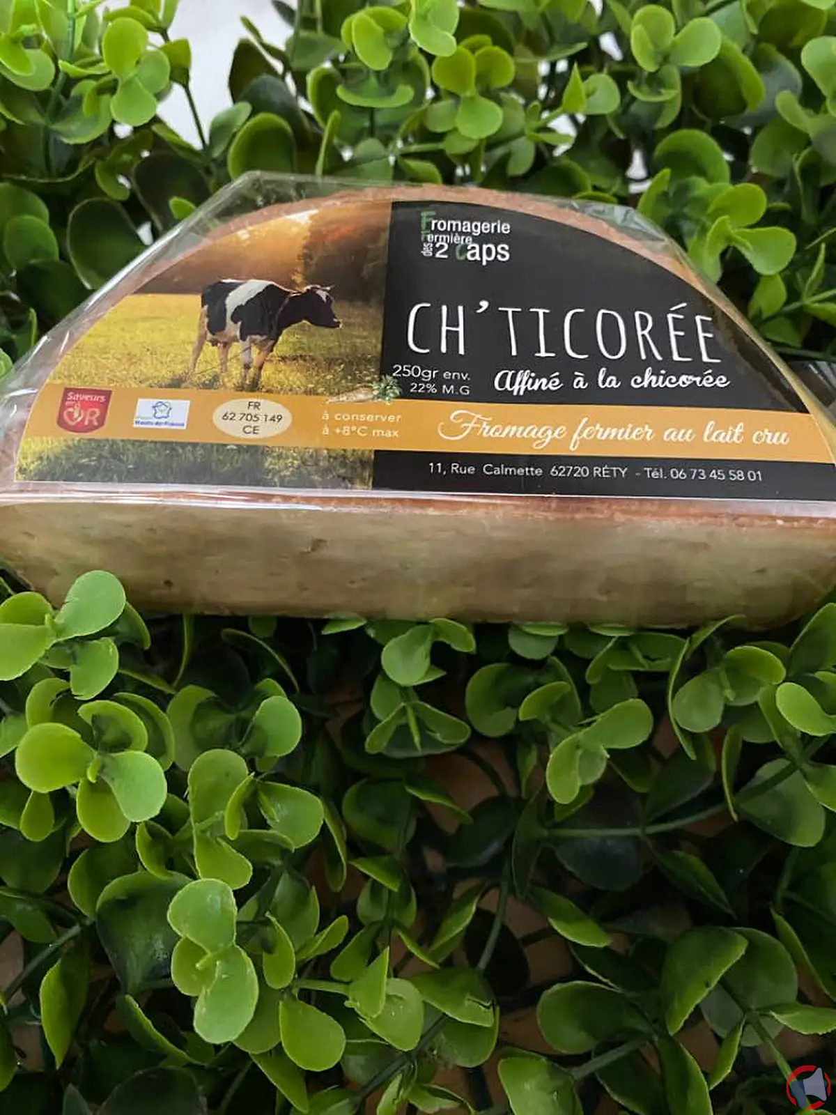 Rappel de produit : Chticorée de la Fromagerie des 2caps pour risque de listériose
