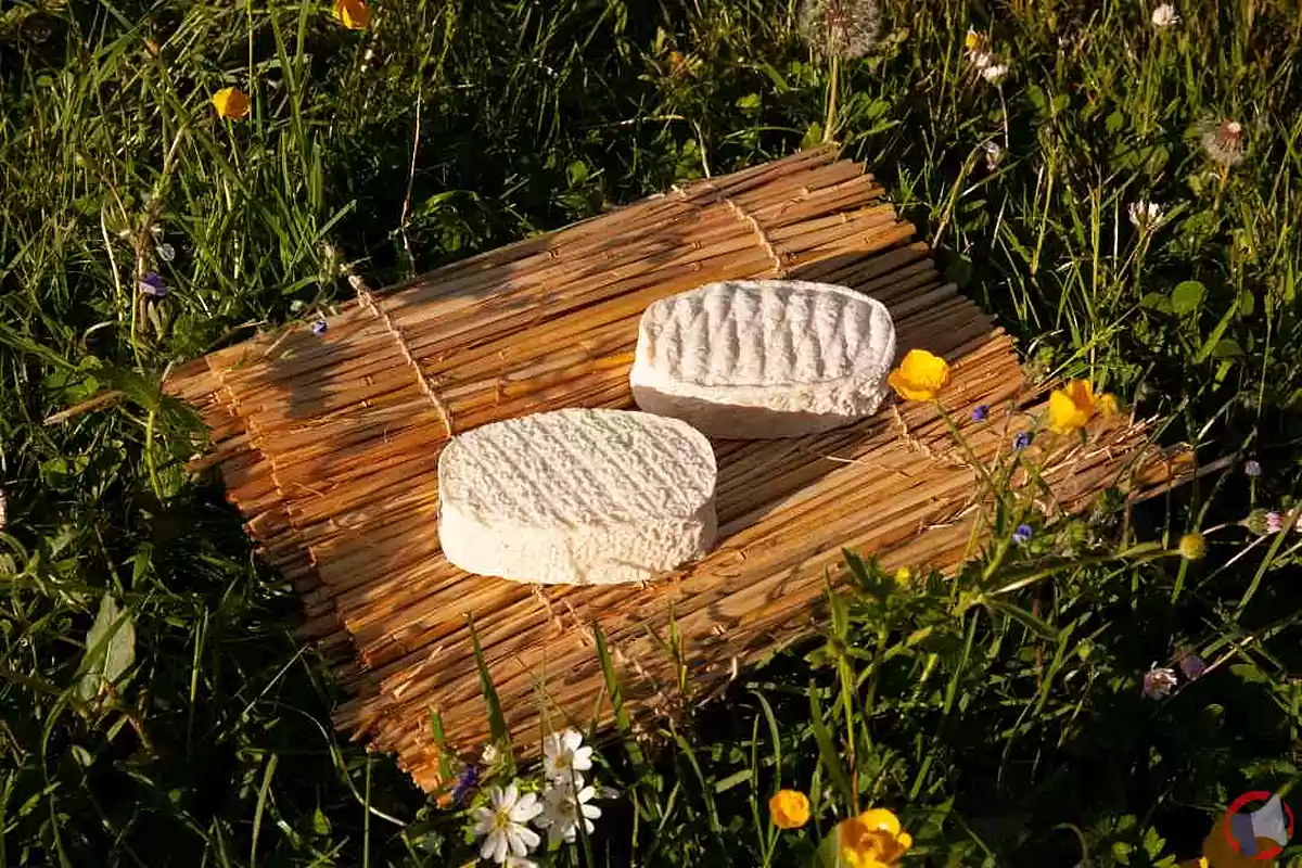 Rappel de produit : La Chevrette de la Fromagerie des Gors pour risque d'Escherichia STEC