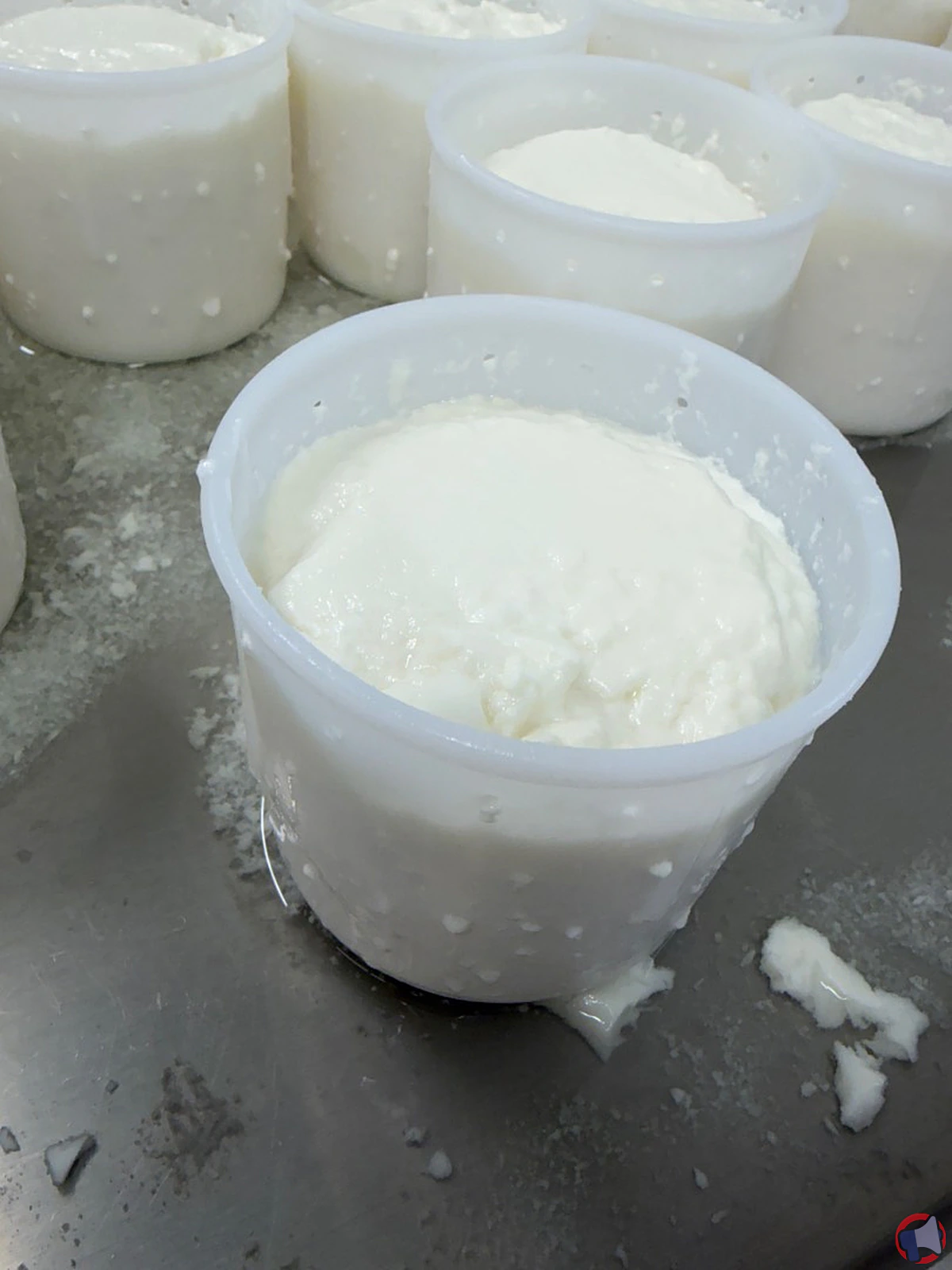 Rappel du fromage blanc de fromagerie marie : analyse approfondie du rappel