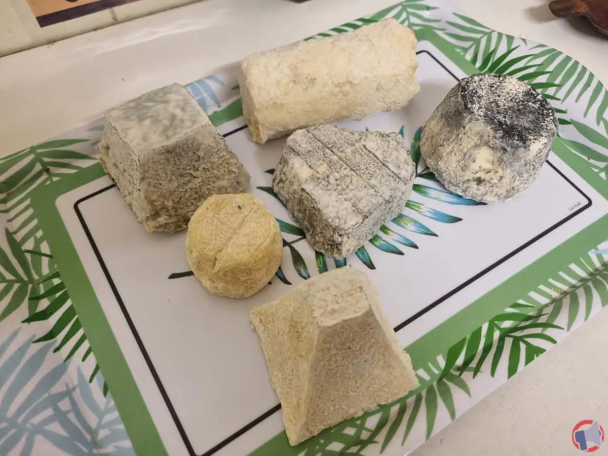 Alerte sanitaire : rappel de fromages de chèvre pour présence de résidus de médicaments