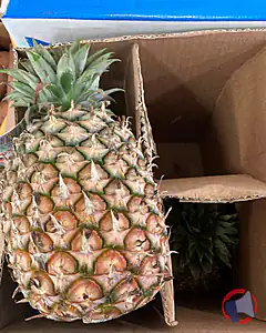 Rappel produit Ananas Avion Cayen Lisse Fruits