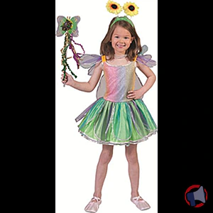 Rappel produit DEGUISEMENT ET ACCESSOIRE ROBE PAPILLON ET AILES FUNNY FASHION ESPA BV