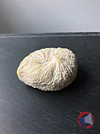 Rappel produit FROMAGE DE CHEVRE FERMIERS GAEC LA BAROTIERE (photo numéro 1)