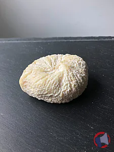 Rappel produit FROMAGE DE CHEVRE FERMIERS GAEC LA BAROTIERE