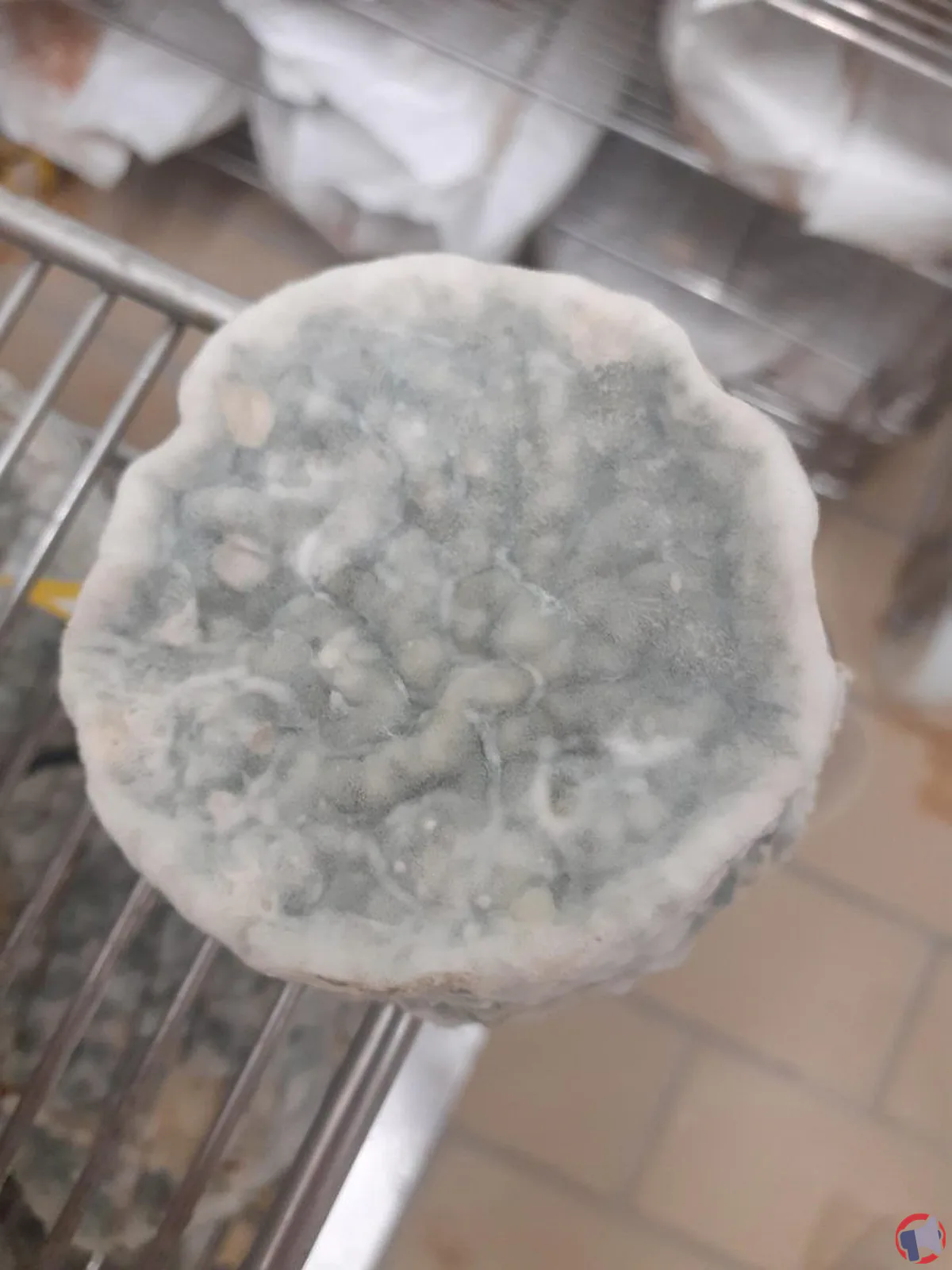Alerte sanitaire : rappel de tous les produits de la marque GAEC A LA CRECIA pour risque de listériose