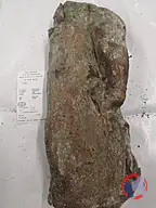 Rappel produit Coppa GAEC DERRAMOND (photo numéro 1)