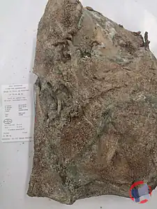 Rappel produit Noix de jambon ou pointe de noix sèche GAEC DERRAMOND