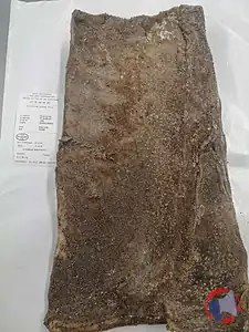 Rappel produit Poitrine salée séchée de porc GAEC DERRAMOND