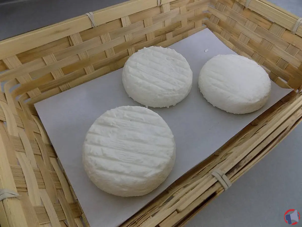 Rappel de fromages de chèvre au lait cru : que faire après le rappel du gaec dorvan ?